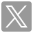 X icon