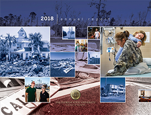 Annual report 2018 cover