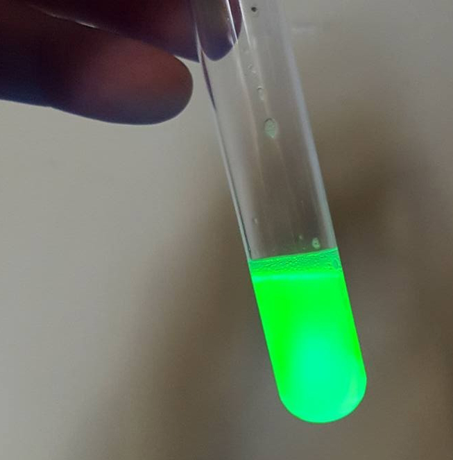 A tube of green fluorescent protein