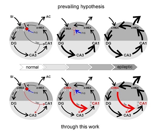 graphical abstract