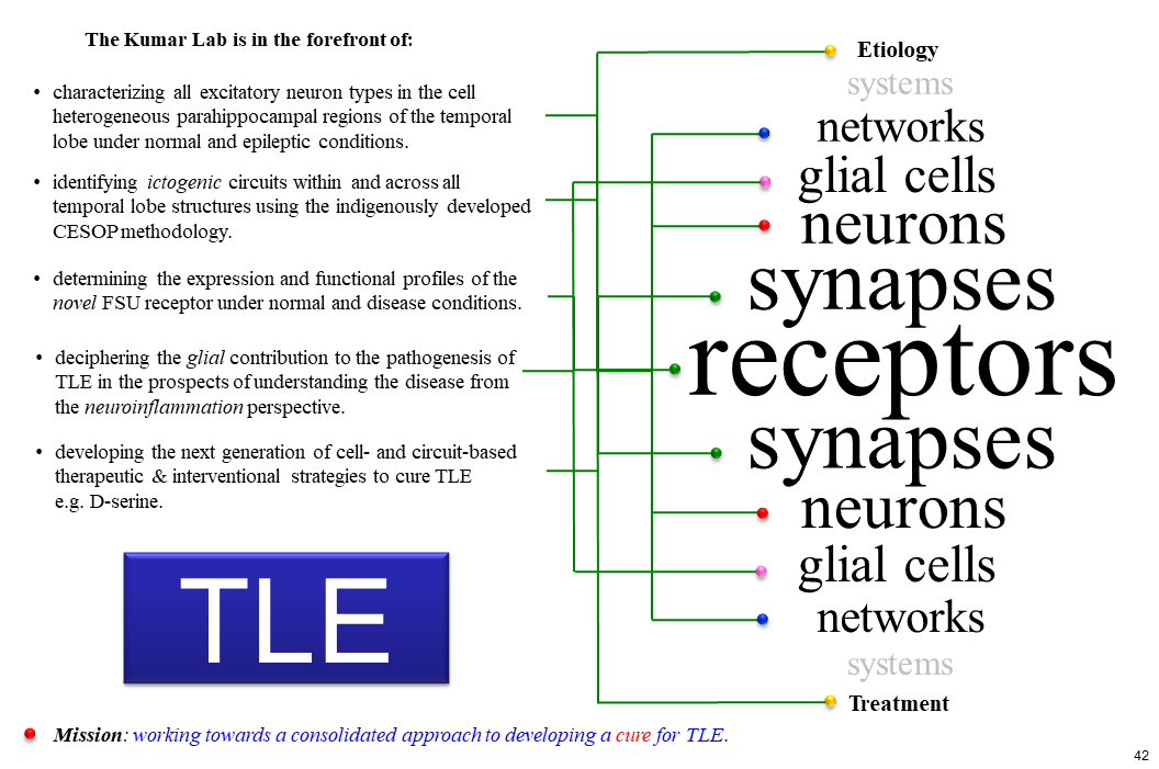 Translational Research