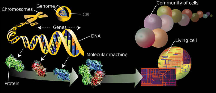 Translational Science Laboratory