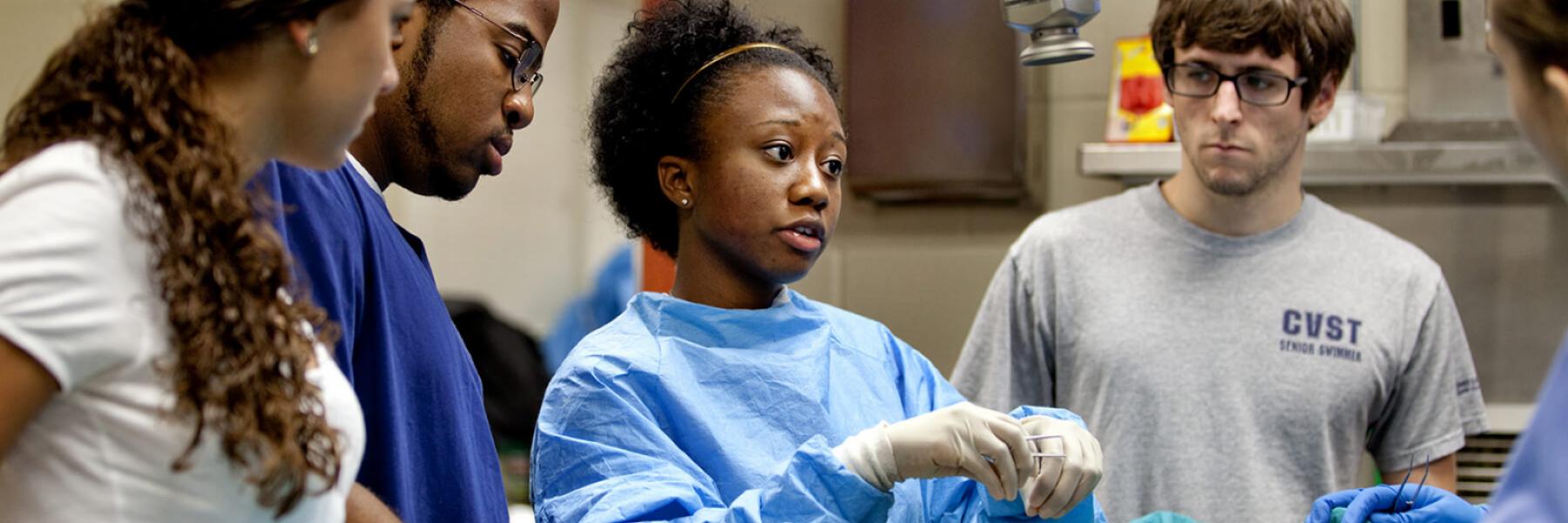 Creating Opportunities for Students
