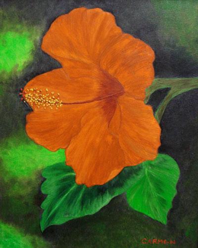 Hibiscus by Carmen Burton