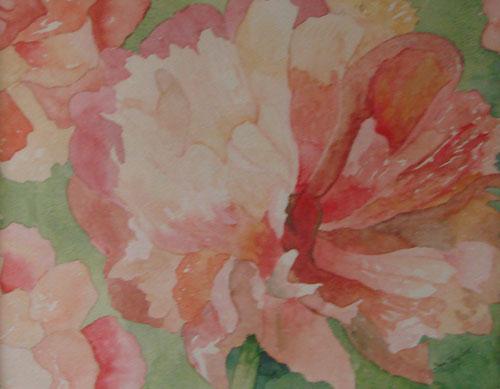Pink Peony by Jan Taylor