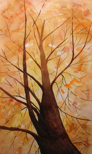 Looking Up by Jan Taylor
