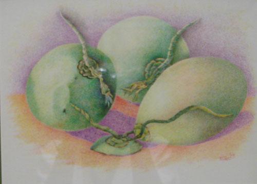 Young Coconuts by Emilia C. Johnson
