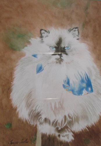 I'm Not Fat, I'm Fluffy by Tonya Toole