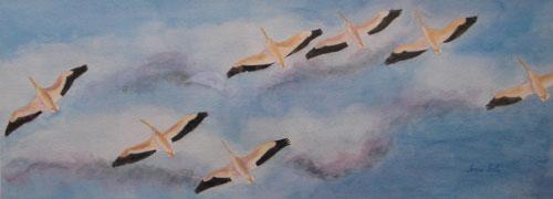 Under Wing by Tonya Toole