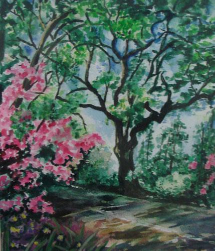 Canopy Oak by Eva Curry
