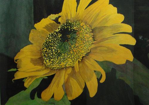 Good Morning Sunshine By Mary Bradley
