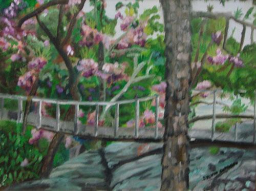 A Different Path by Sylvia Cordero