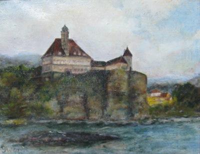Along the Danube