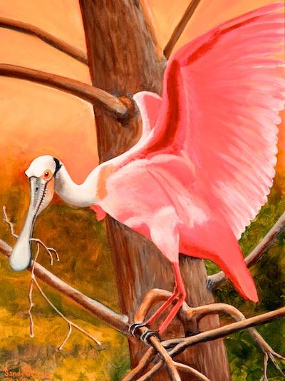 Roseate Spoonbill by Sandy DeLopez
