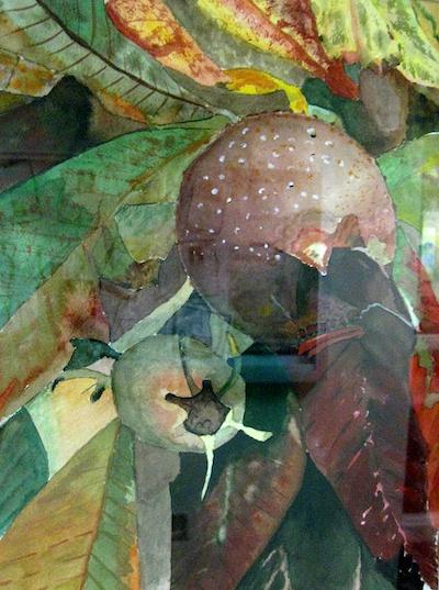 A Quince by Jan Taylor