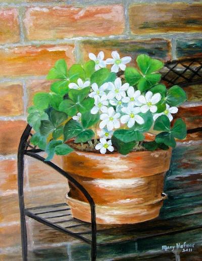 Shamrock by Mary Hafner
