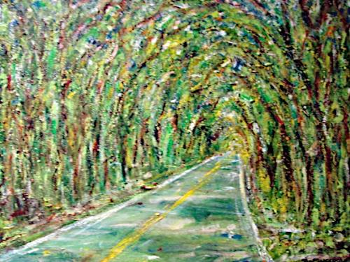 Canopy of Light by Richard Wingerson