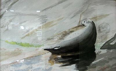 Lone Seal by Jan Taylor