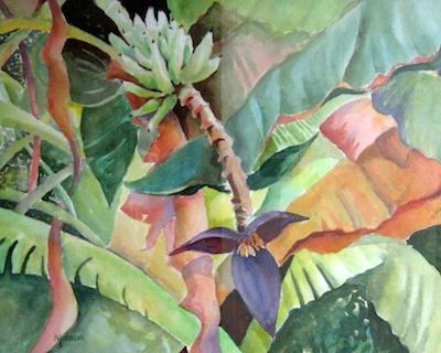 Banana Panorama by Nancy Juster Johnson