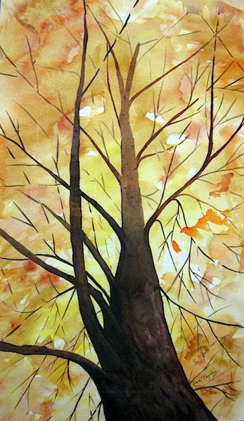 Looking Up by Jan Taylor