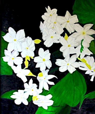 Jasmine by Carmen Burton