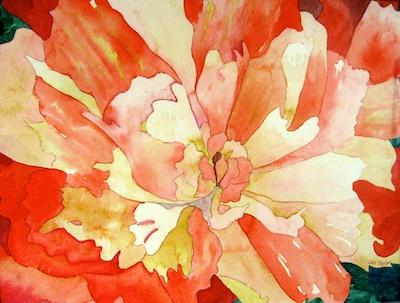 Peony by Jan Taylor