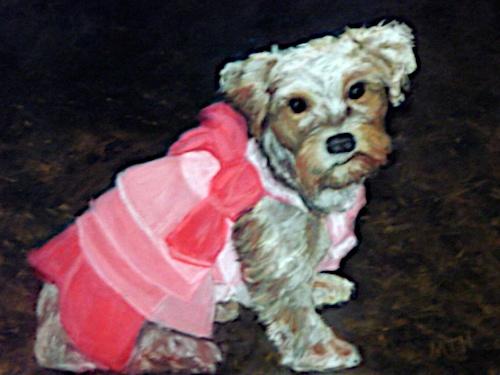Daisy's New Dress by Margaret Hamilton
