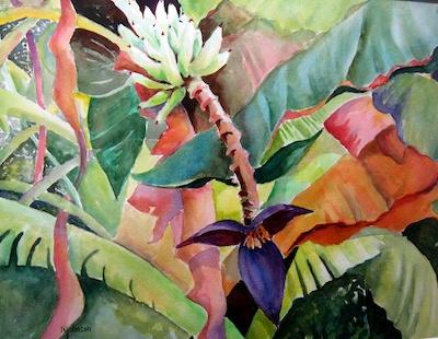 Banana Panorama by Nancy Juster Johnson