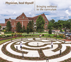 Physician, heal thyself: Bringing wellness to the curriculum