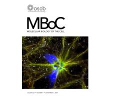 MBoC
