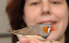 Hear Cappendijk on Tuesday at Science Cafe 