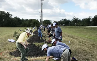 Volunteers plant trees.