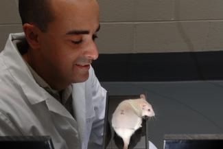 Developing Scholar Award for Kabbaj