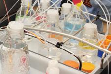 Life Sciences Symposium a success