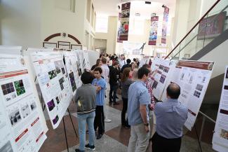 summer research fellowship