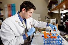 Summer.research.2011