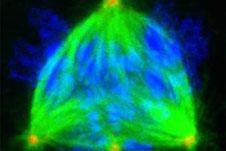 Life Sciences Symposium begins Friday