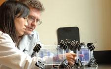 Innovative researchers are recognized