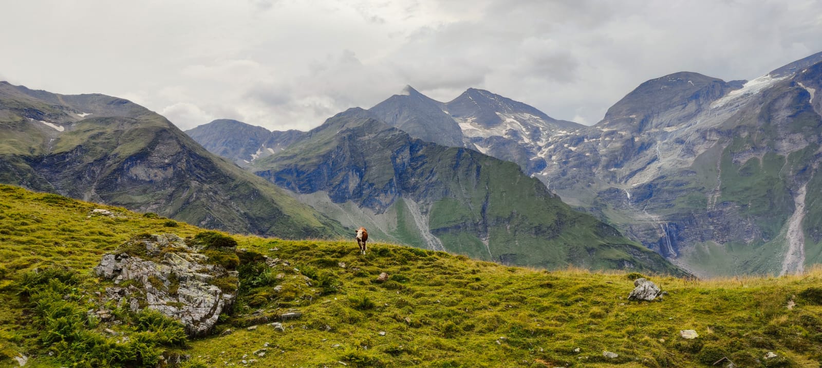 Central Eastern Alps