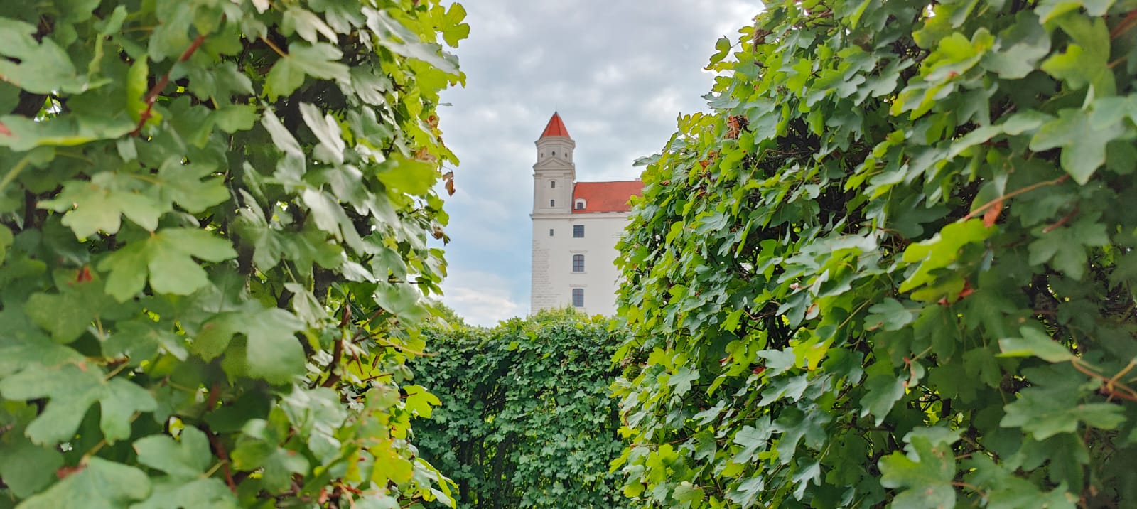 Bratislava Castle Garden
