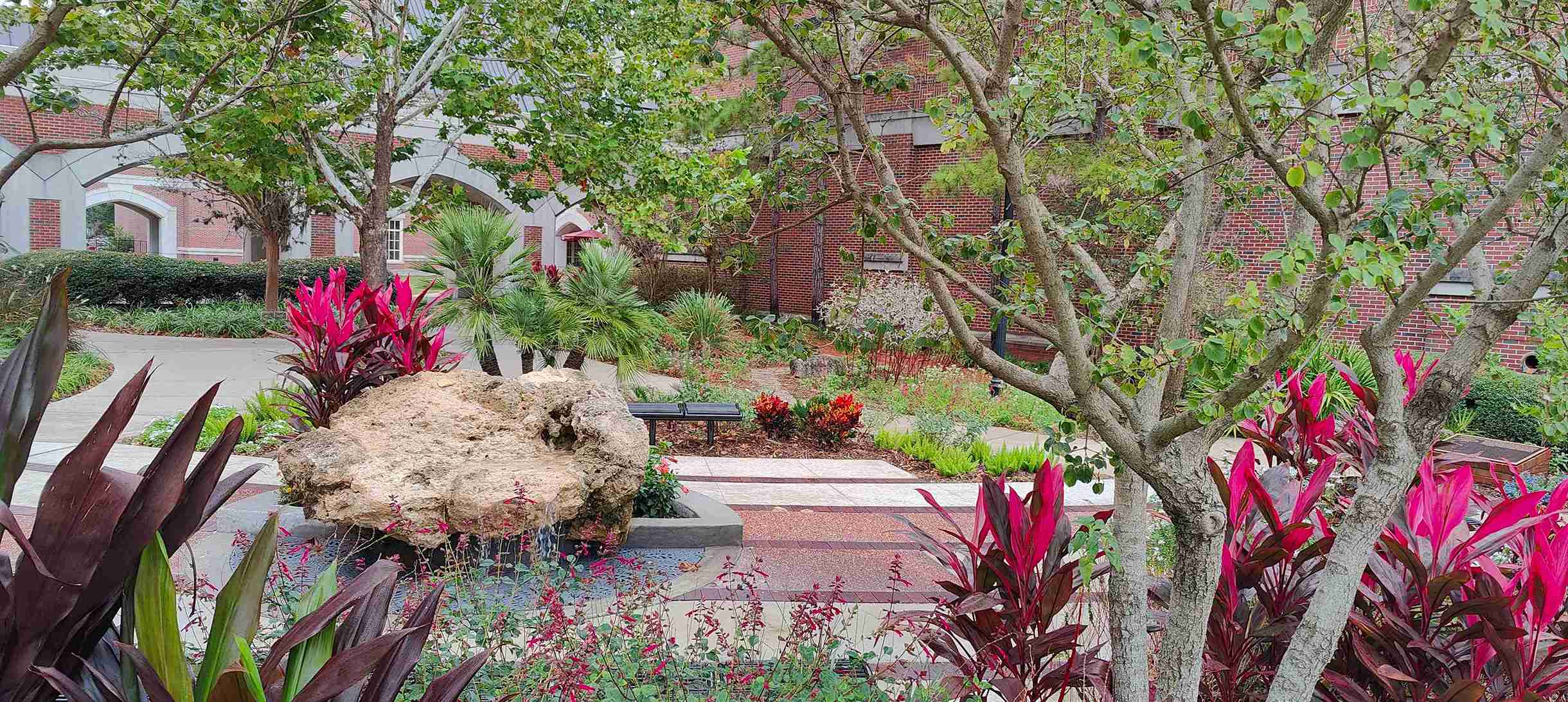 Chapman Wellness Garden