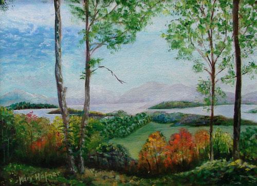 View from GA Mountain top by Mary Hafner