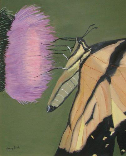Butterfly in  Garden Nancy Smith