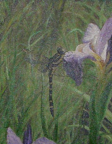 Dragonfly by Tadako Knight