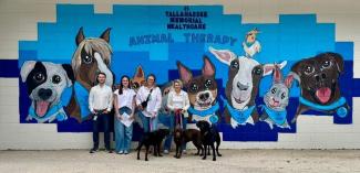 Students posing with TMH Animal Therapy staff and dogs.